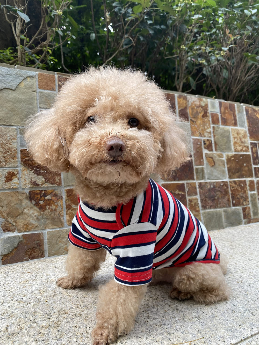 Knuffelen dog shirts two-pack layout highlights versatile colors.