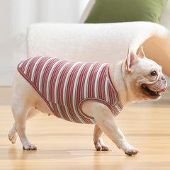 Knuffelen stretchy sleeveless design on small dog for easy on/off.