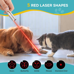 Koackl Cat Toy Pointer showing red, purple, and white colors