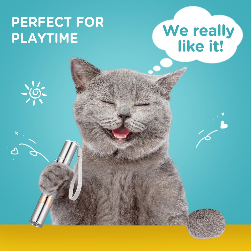 Koackl Cat Toy Pointer used as a presenter light in dim room