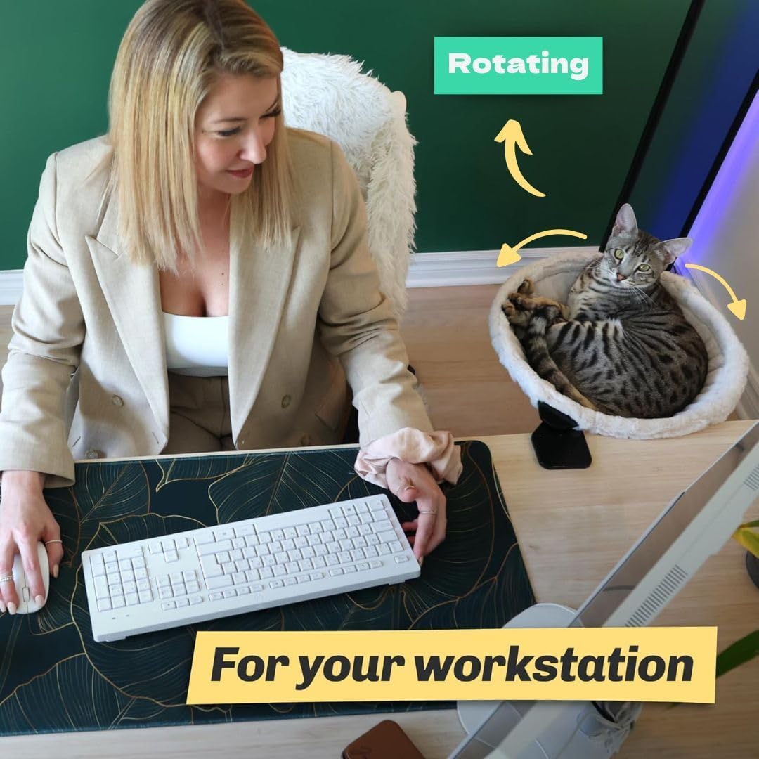 Kobuddy clean maintenance cat bed surface after use showing easy care.