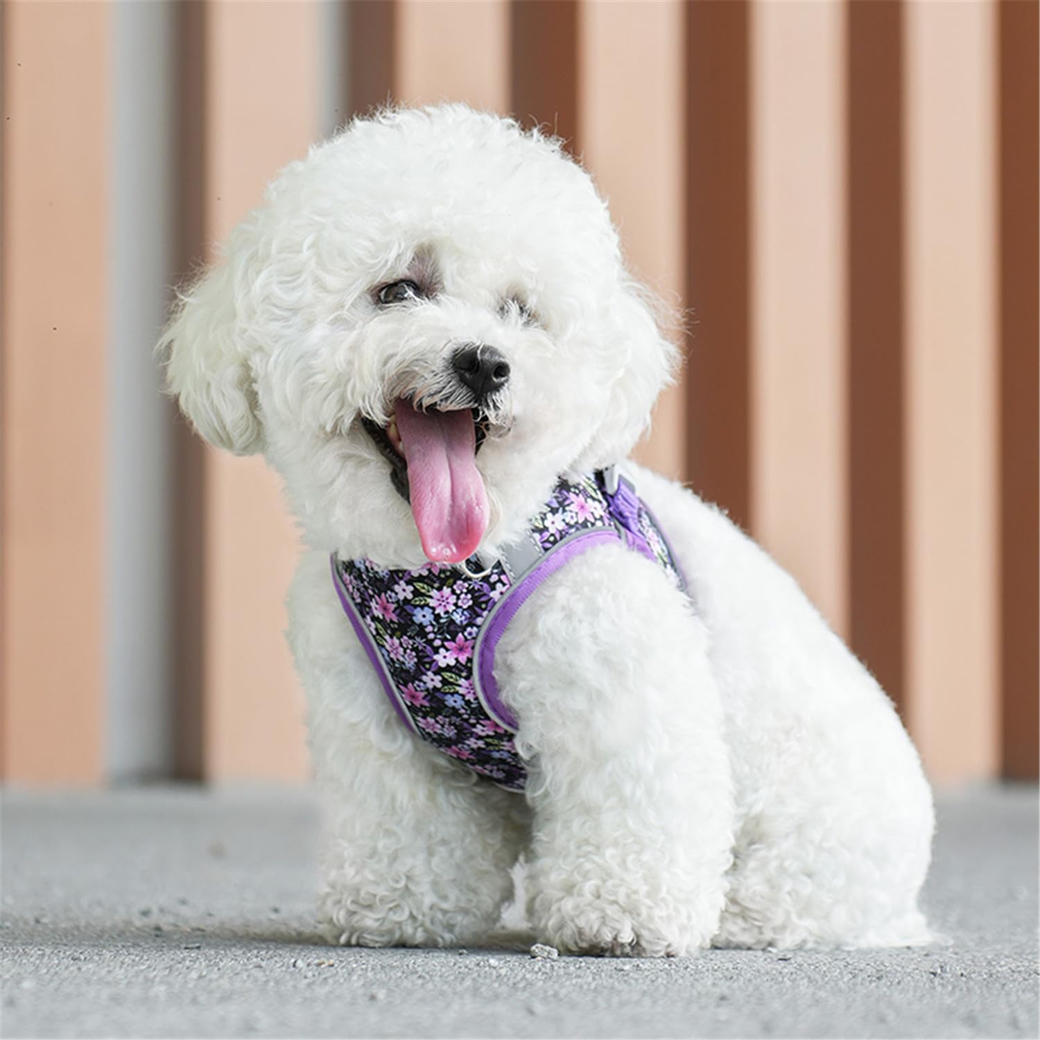 KocaPlye 5ft dog leash included for reliable daytime and night control