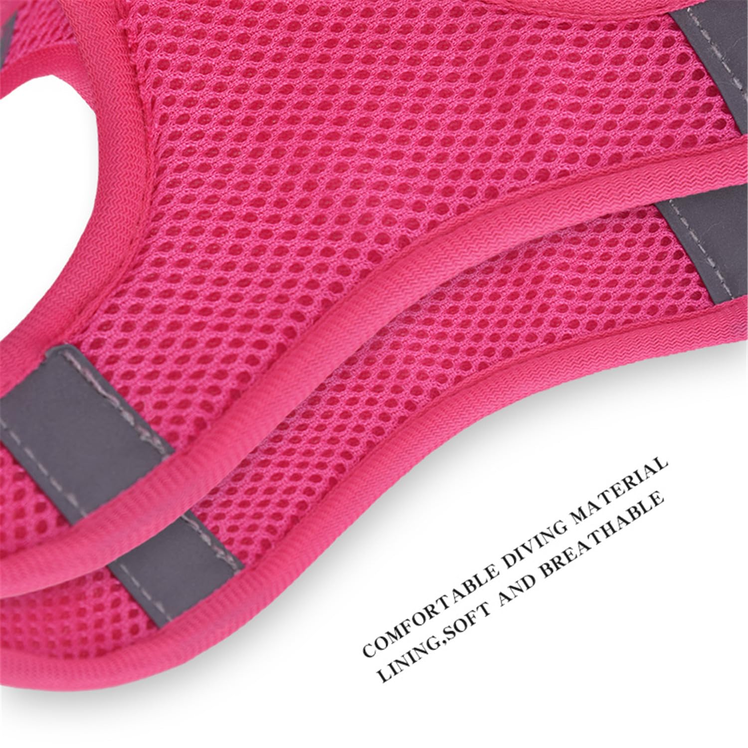 KocaPlye D-ring and ID tag-ready harness for tagging and accessories