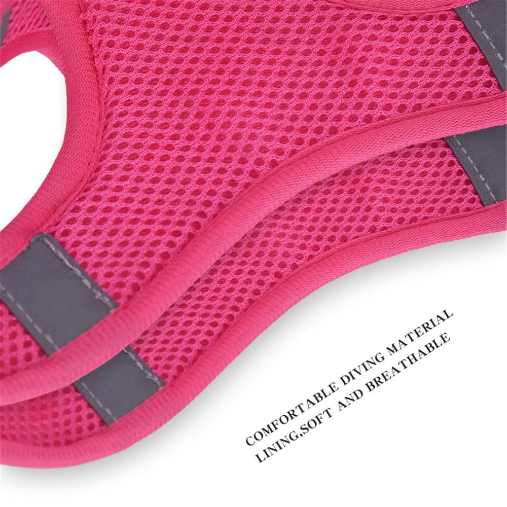 KocaPlye D-ring and ID tag-ready harness for tagging and accessories