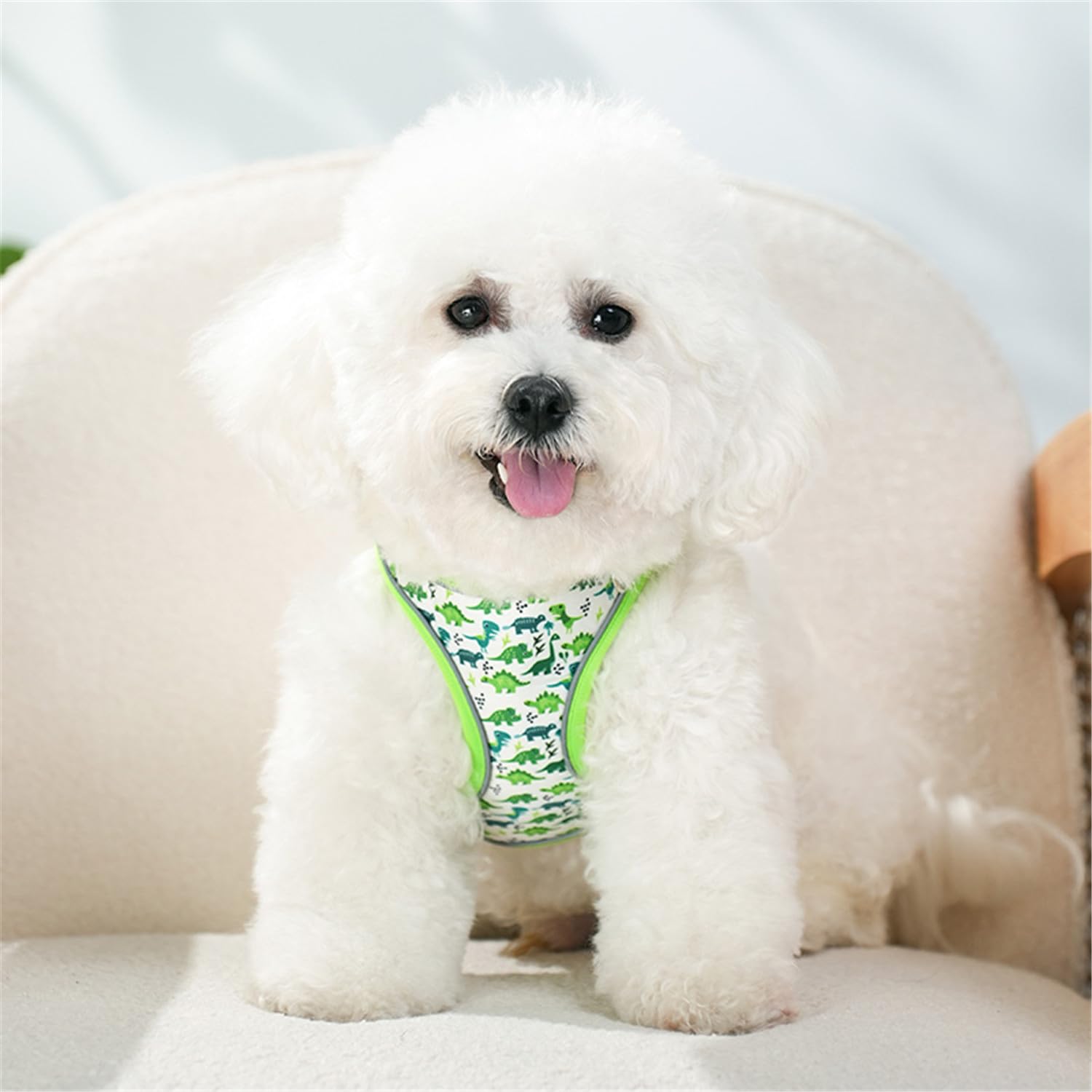 KocaPlye reflective strips harness improves visibility during nighttime strolls.