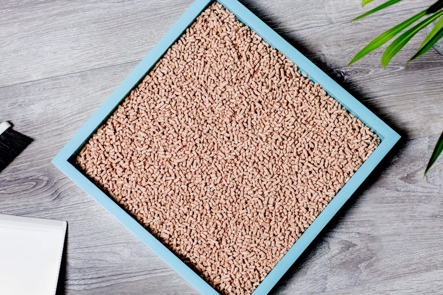 KOCHO Hinoki litter clumps gently for easy scooping and less mess.