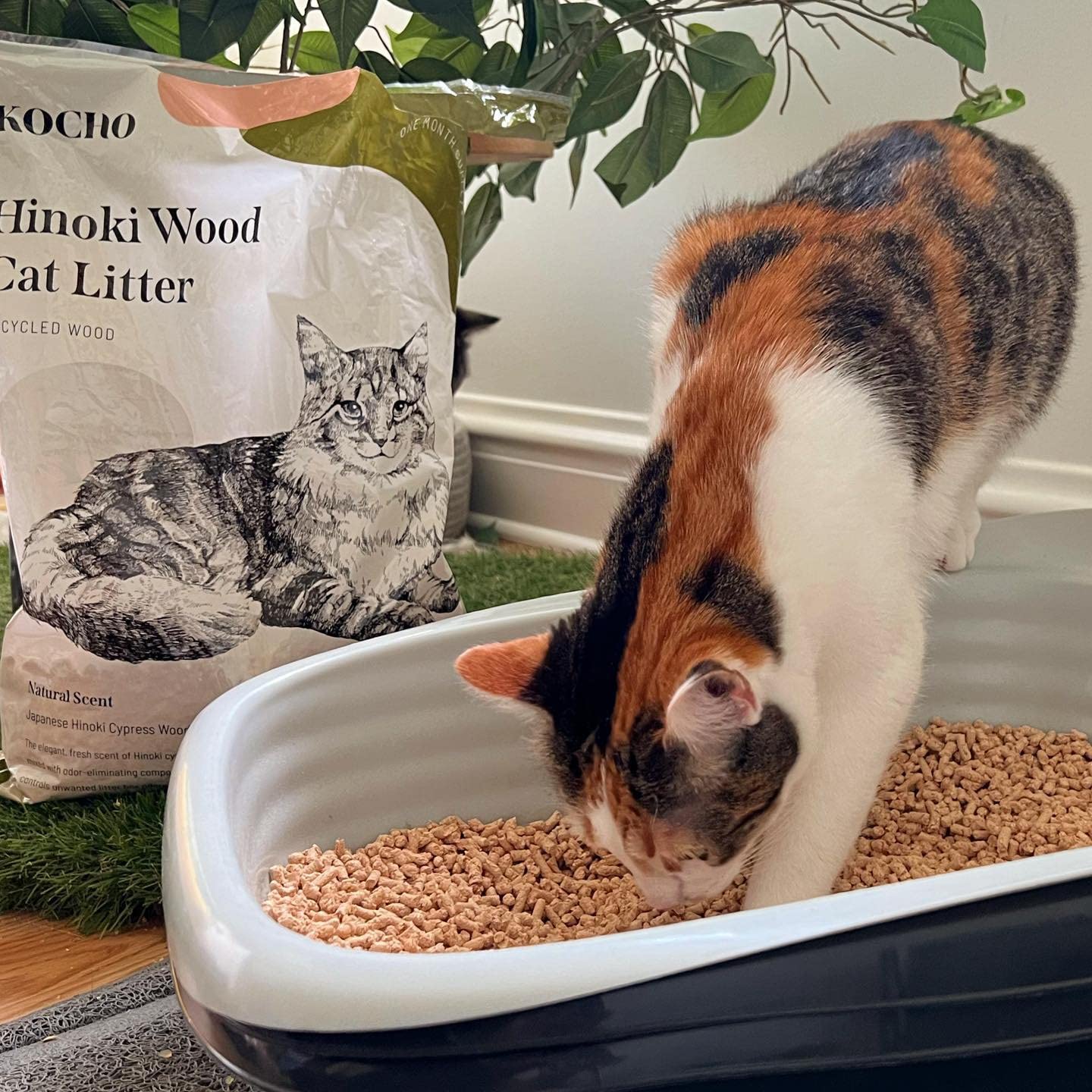 KOCHO Hinoki litter uses upcycled Hinoki wood from Japan's mills.