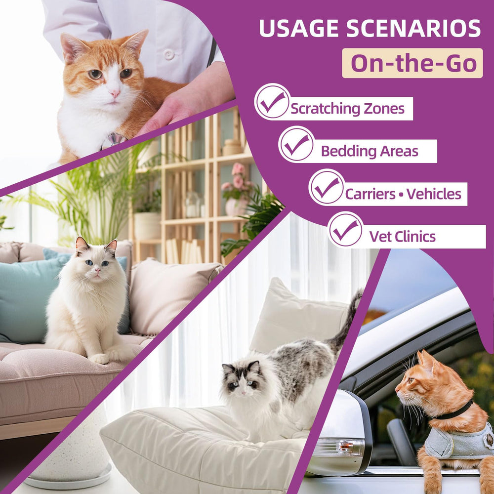 KODASNY hogar multi gatos: favorece la convivencia entre felinos.