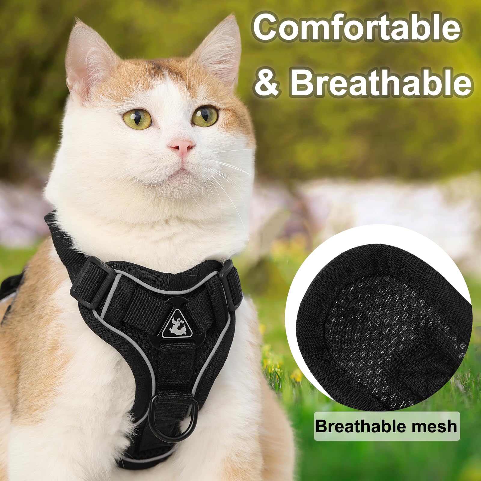 Kodervo durable buckles and reinforced stitching support daily walks and playful outdoor adventures.