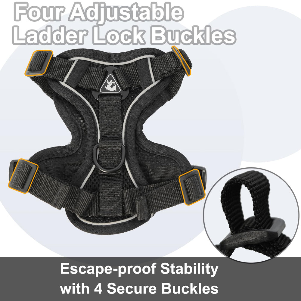 Kodervo quick-setup cat harness lets you outfit your cat in seconds.