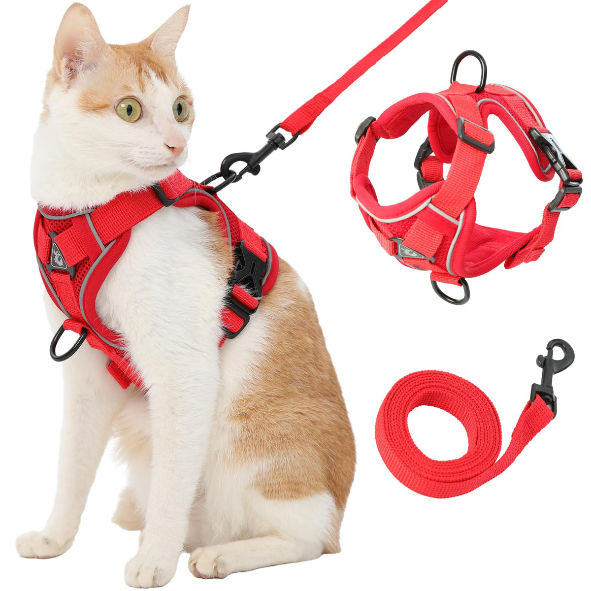 Kodervo cat harness with reflective strips for safer night walks.