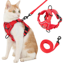 Kodervo cat harness with reflective strips for safer night walks.