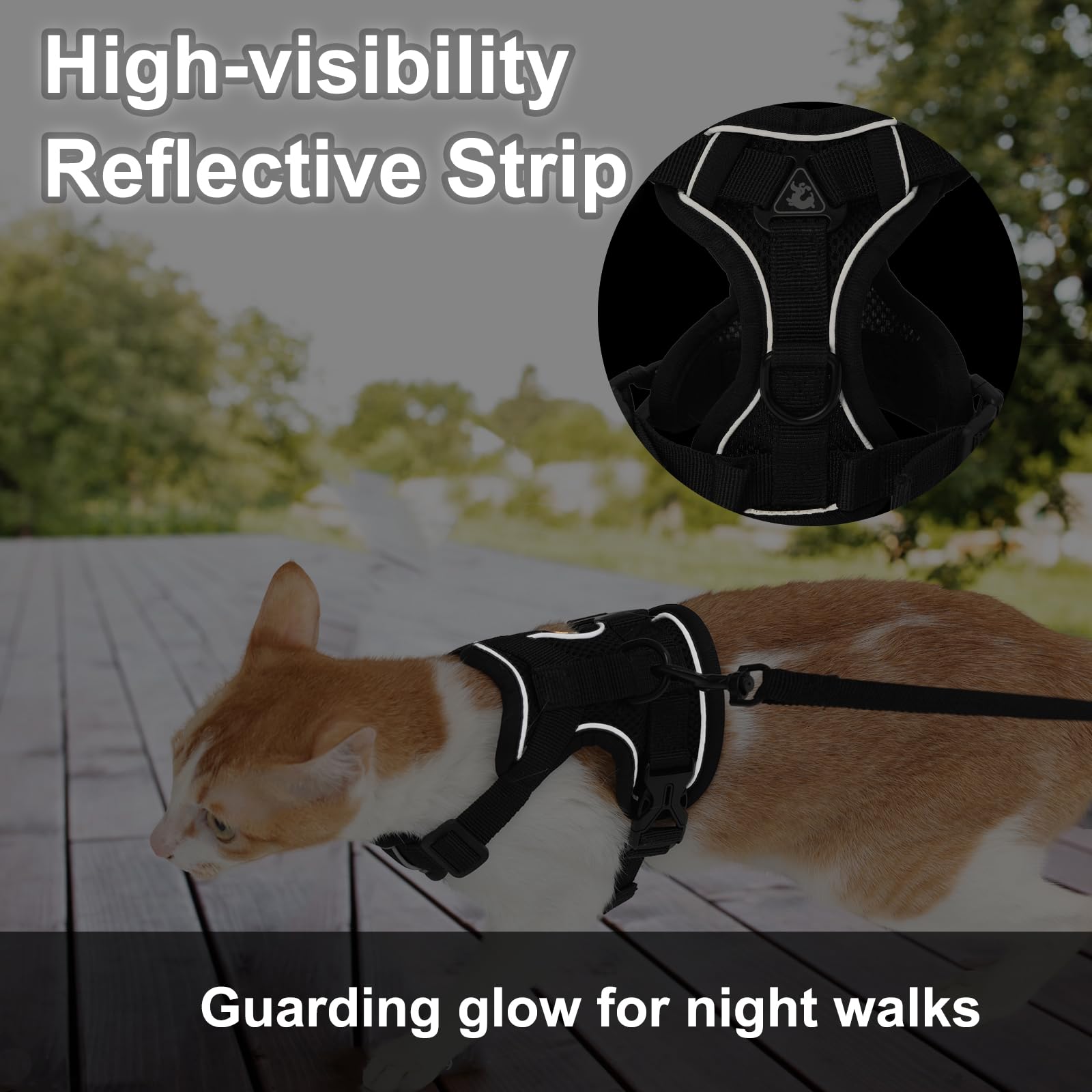 Kodervo cat leash and clip for quick secure attachment to harness.