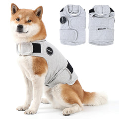 Kodervo dog anxiety jacket worn on a calm dog at home