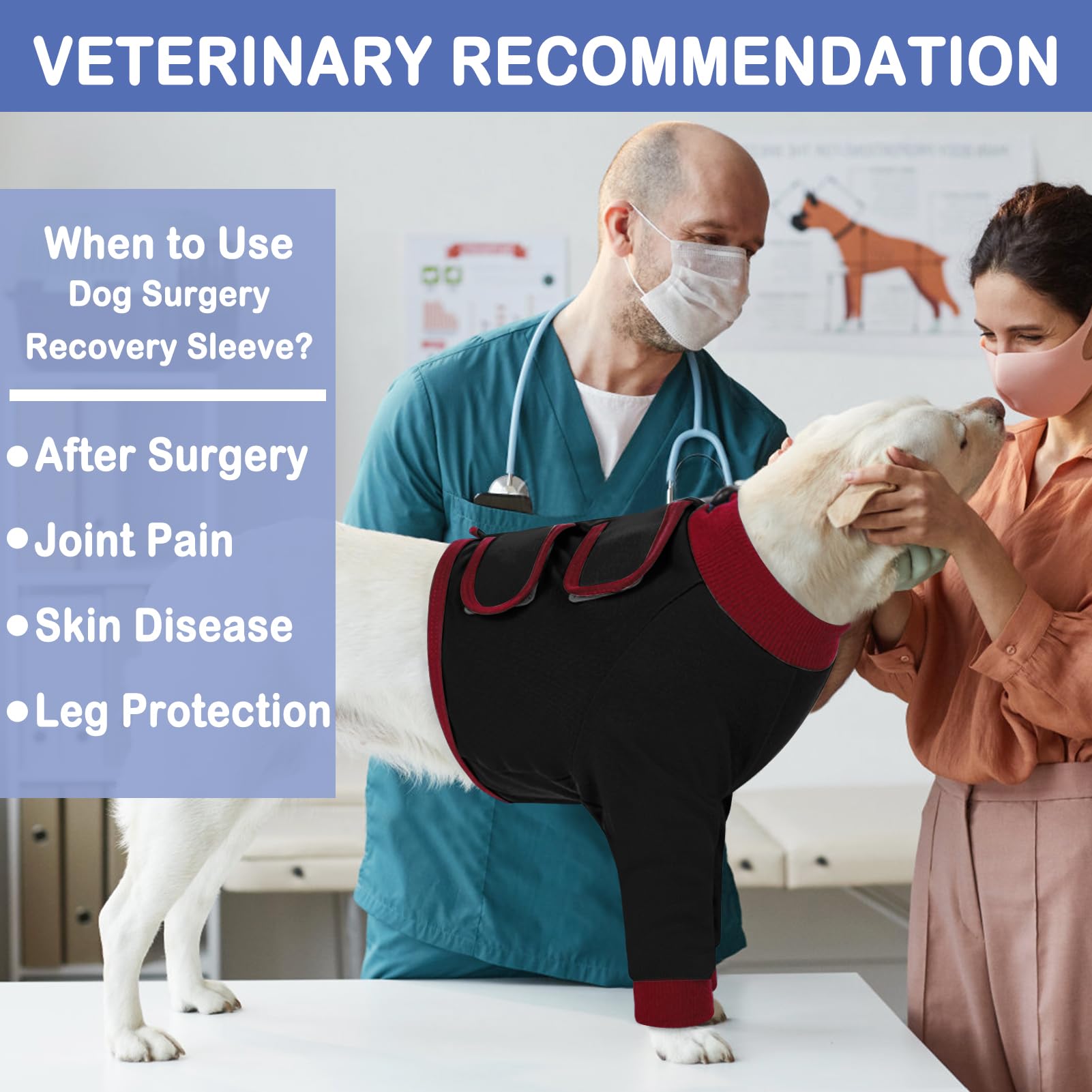 KOESON dog recovery sleeve available in six sizes for a precise fit.