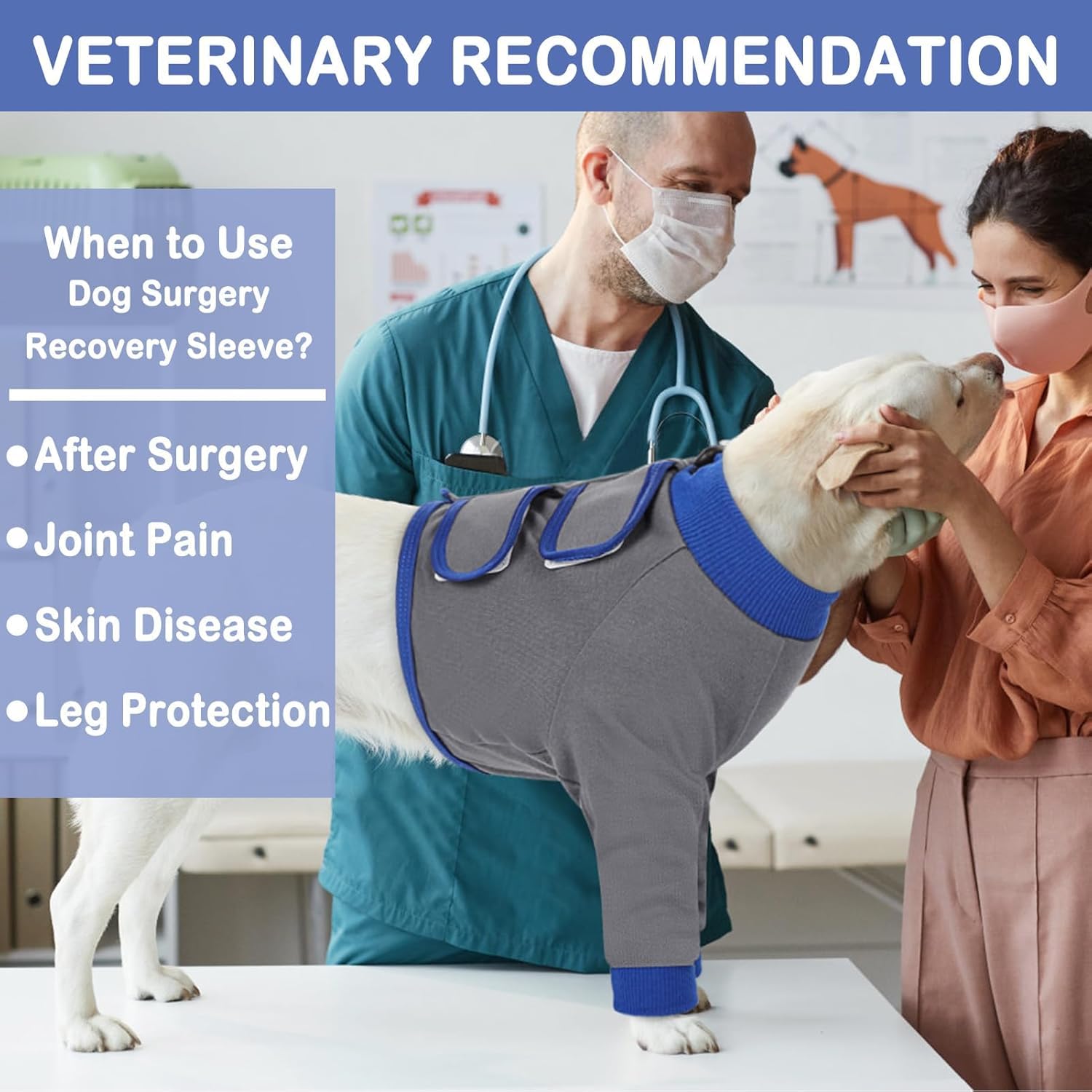 KOESON six-sizes option ensures a comfortable fit for most dogs.
