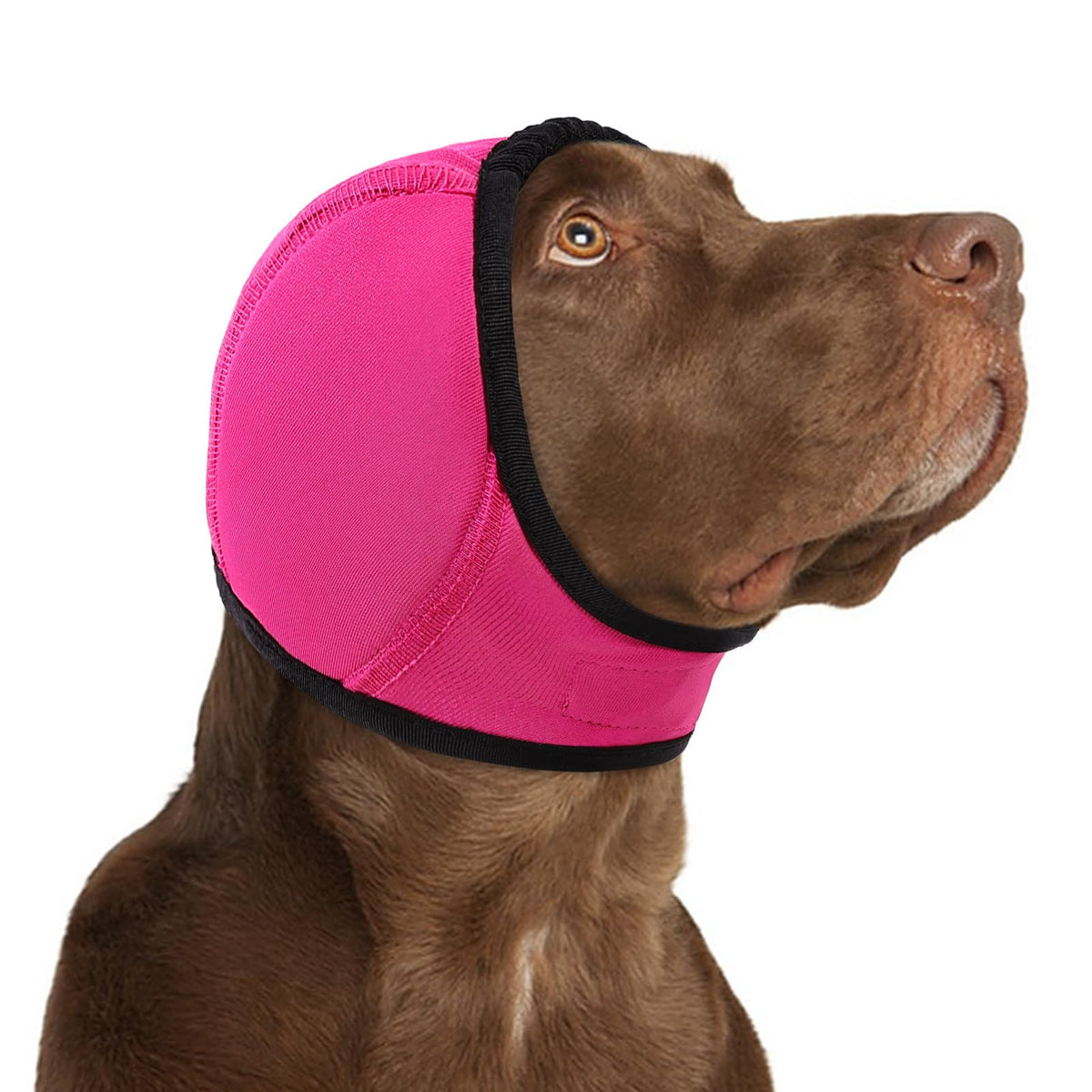 KOESON sudadera para perros con calma de orejas, reduce ruidos externos