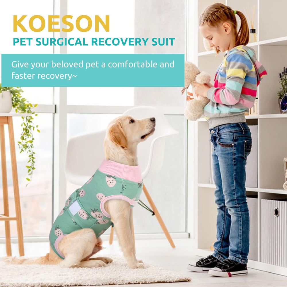 KOESON multi-functional suit suits skin issues or shedding reduction for home care.