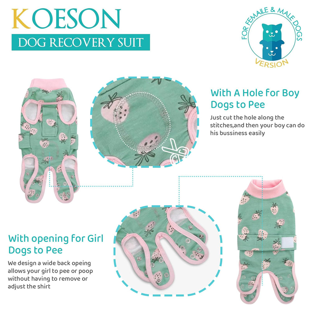KOESON dog recovery suit shows easy-on snaps for quick fitting during post-surgery mornings.