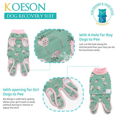 KOESON dog recovery suit shows easy-on snaps for quick fitting during post-surgery mornings.
