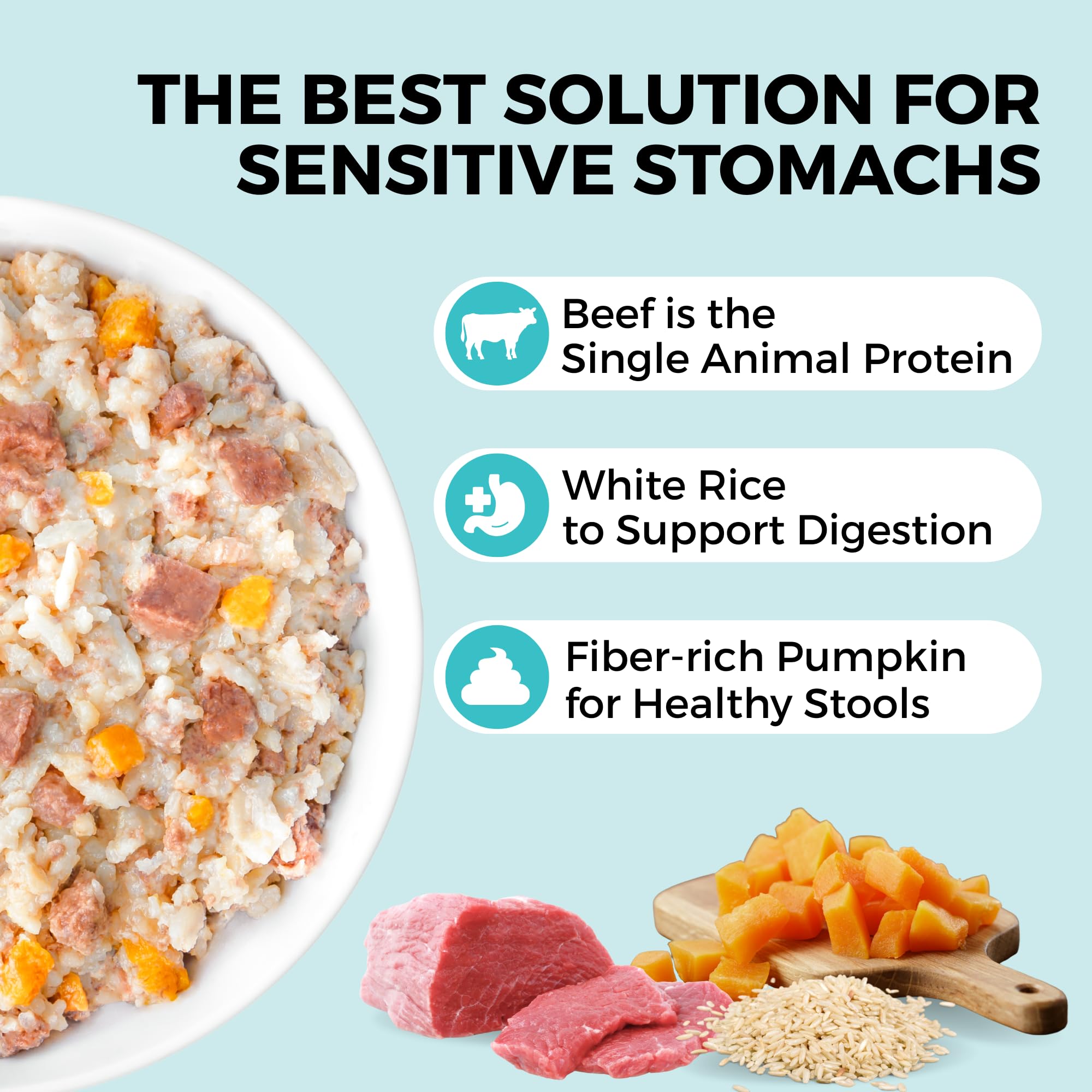 KOHA Bland Diet beef ingredient close-up highlights single-protein focus.