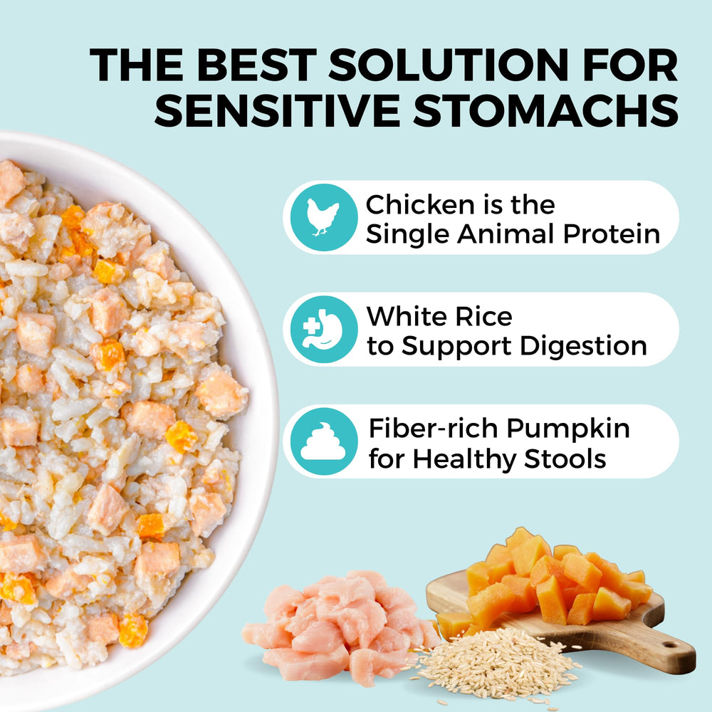KOHA Bland Diet chicken and rice texture with pumpkin supports gentle digestion.