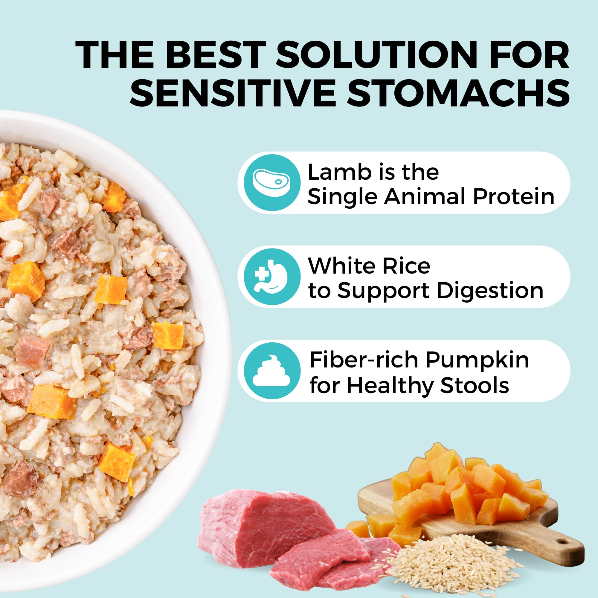 KOHA Bland Diet serving bowl showing ready-to-serve lamb and white rice wet food