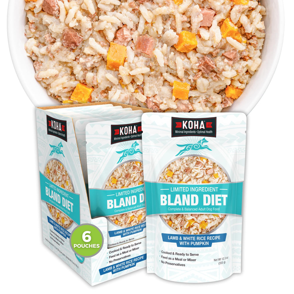 KOHA Bland Diet dog food lamb and white rice wet can highlighting ready-to-serve option for sensitive stomachs