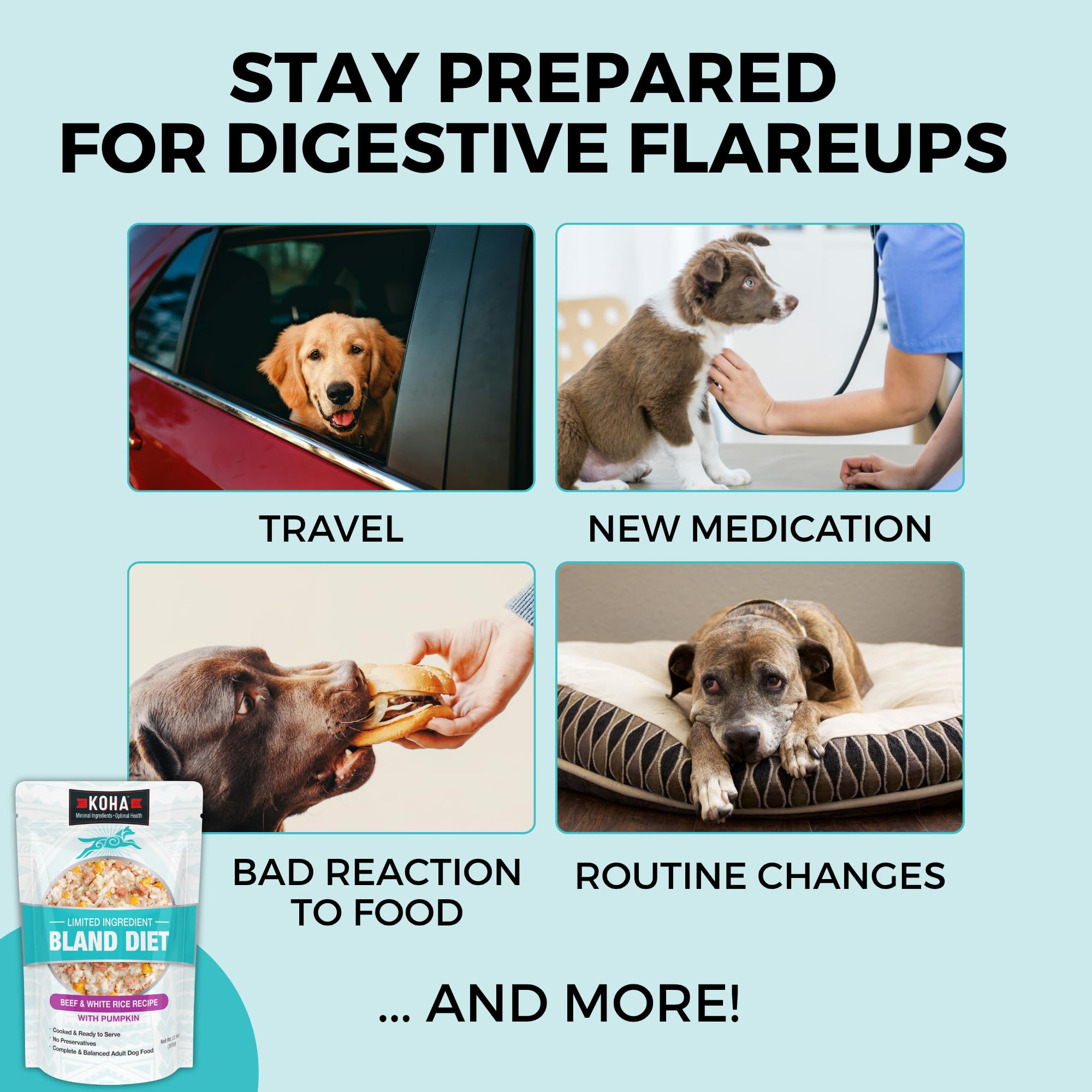 KOHA Bland Diet can be fed as topper or sole diet option.