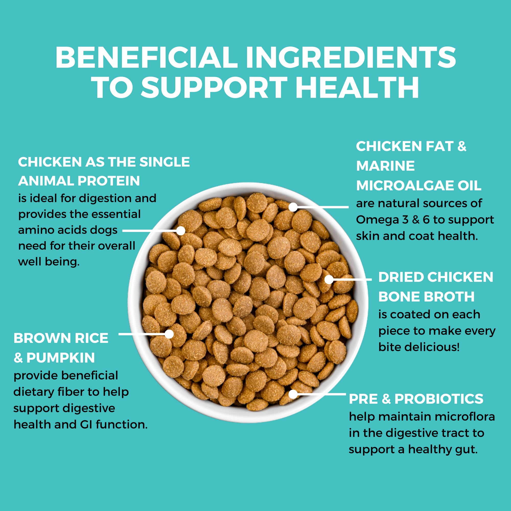 KOHA bland-diet kibble close-up showing chicken and pumpkin for gut-friendly flavor.