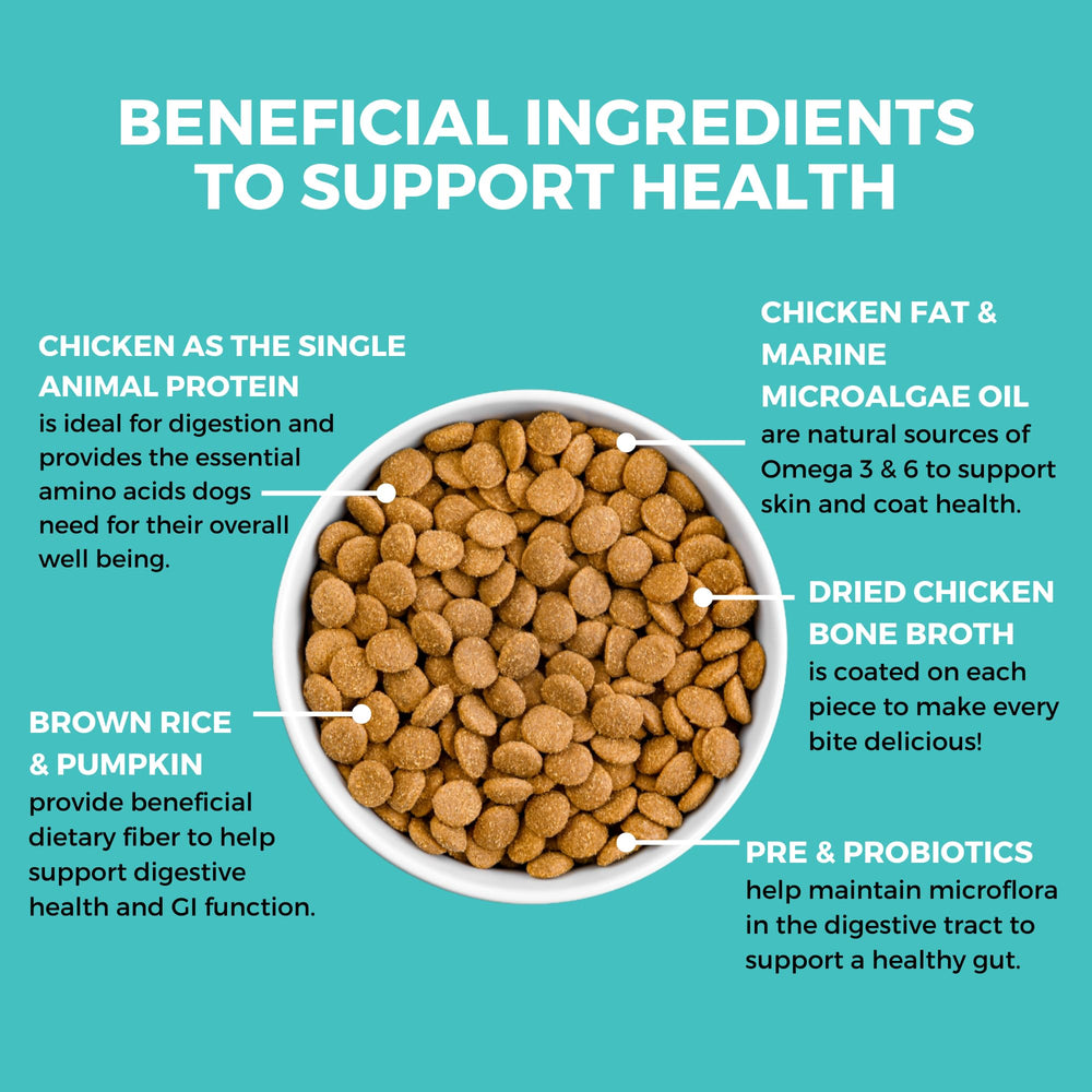 KOHA bland-diet kibble close-up showing chicken and pumpkin for gut-friendly flavor.