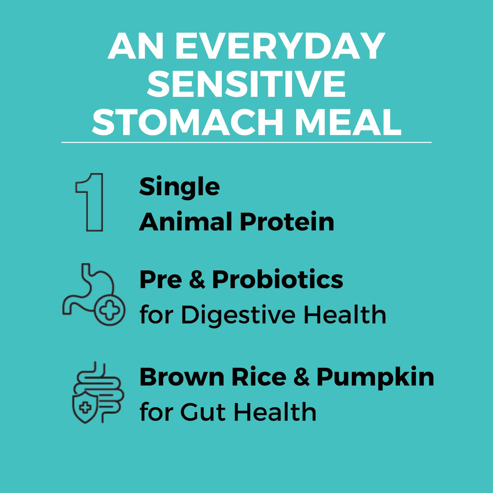 KOHA dry dog food in a bowl demonstrates serving for sensitive stomachs.