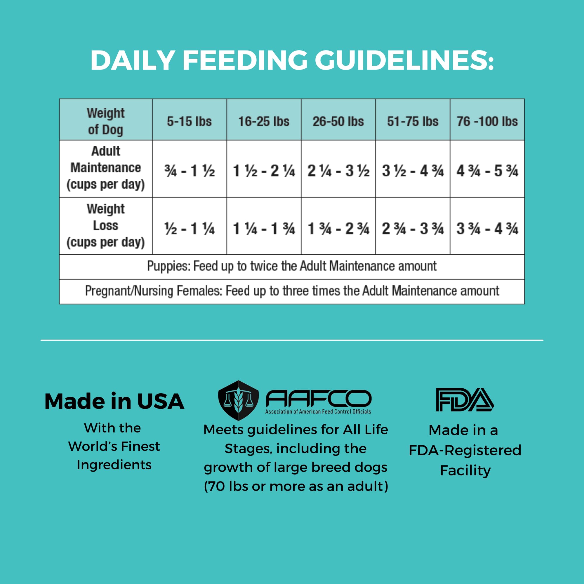 KOHA feeding scene showing a dog enjoying bland-diet meals with comfortable digestion.