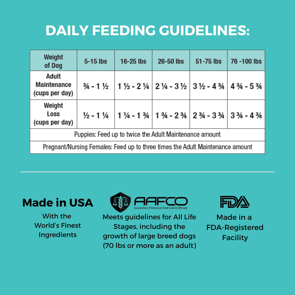 KOHA feeding scene showing a dog enjoying bland-diet meals with comfortable digestion.
