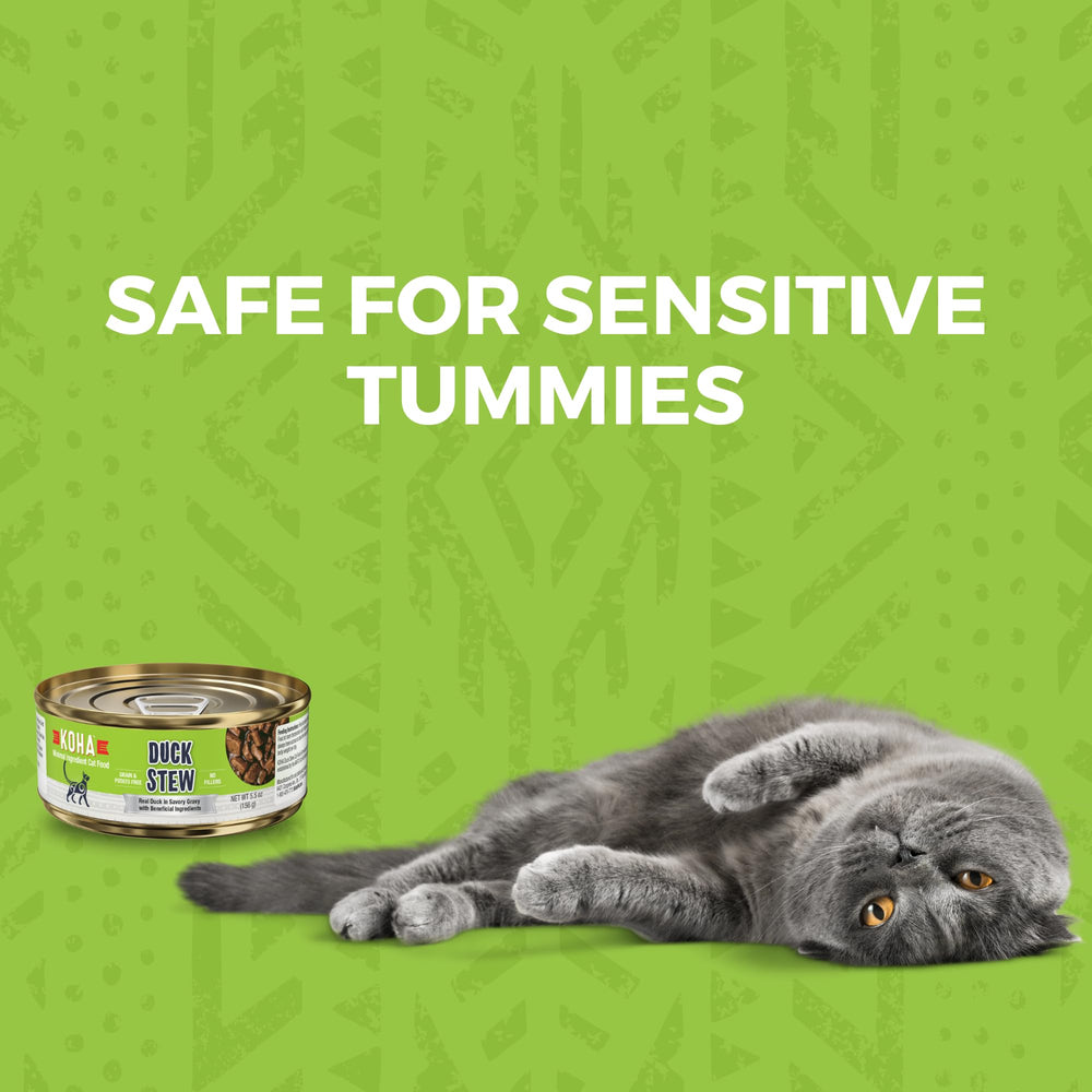 KOHA pumpkin and cranberries image emphasizes digestive and urinary support.