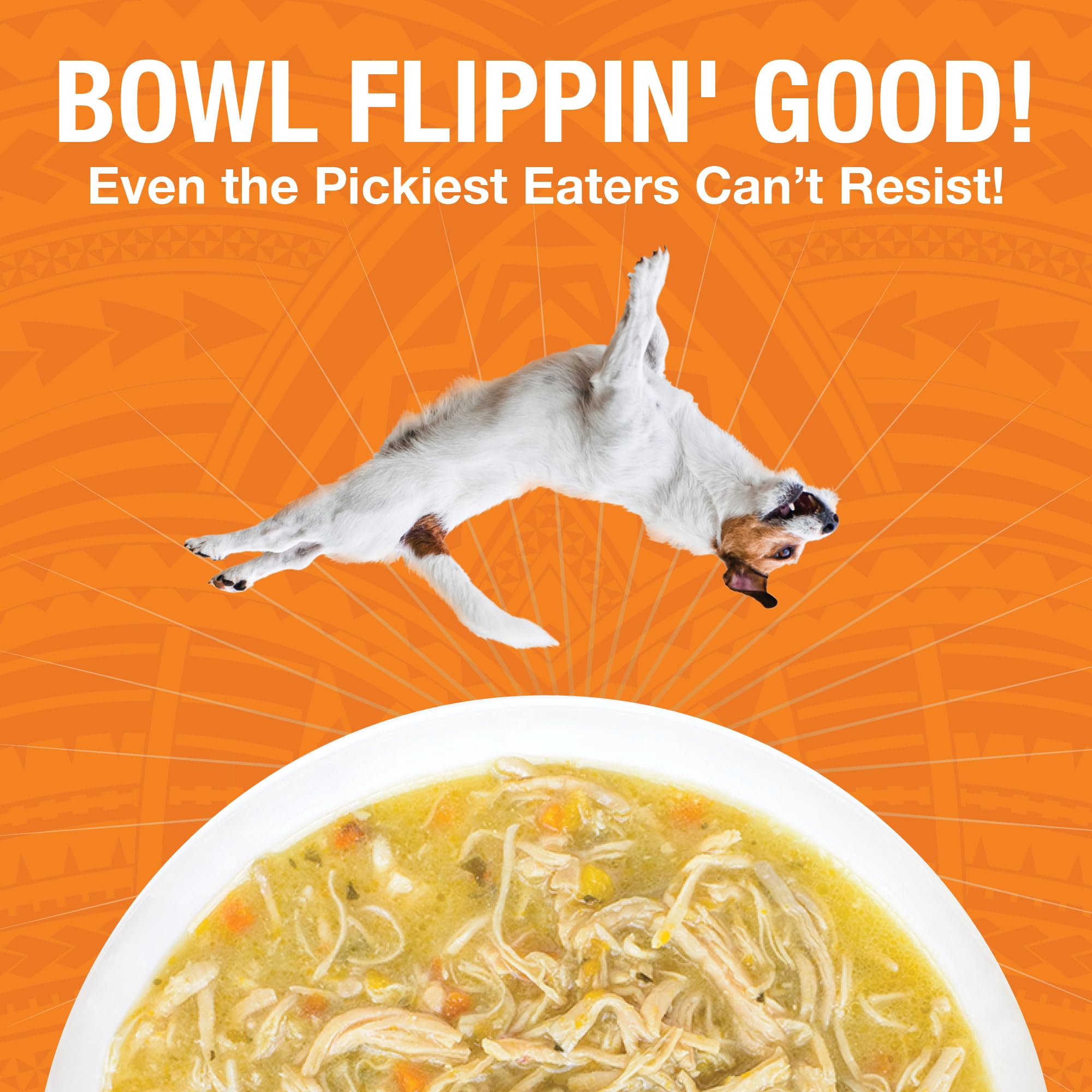 KOHA Pure Shreds closeup highlights tender shredded chicken texture dogs often notice