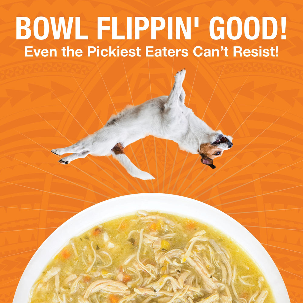 KOHA Pure Shreds closeup highlights tender shredded chicken texture dogs often notice