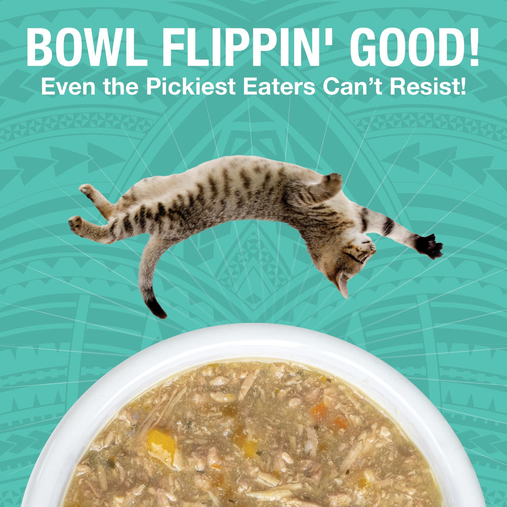 KOHA Pure Shreds Duck Entre9e texture closeup shows shredded meat in broth cats may love