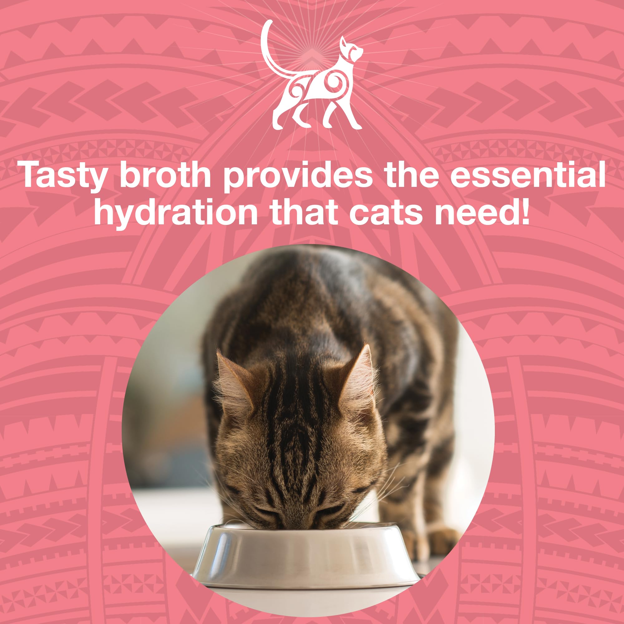 KOHA Pure Shreds 12-pack cans offer protein-rich cat meals.