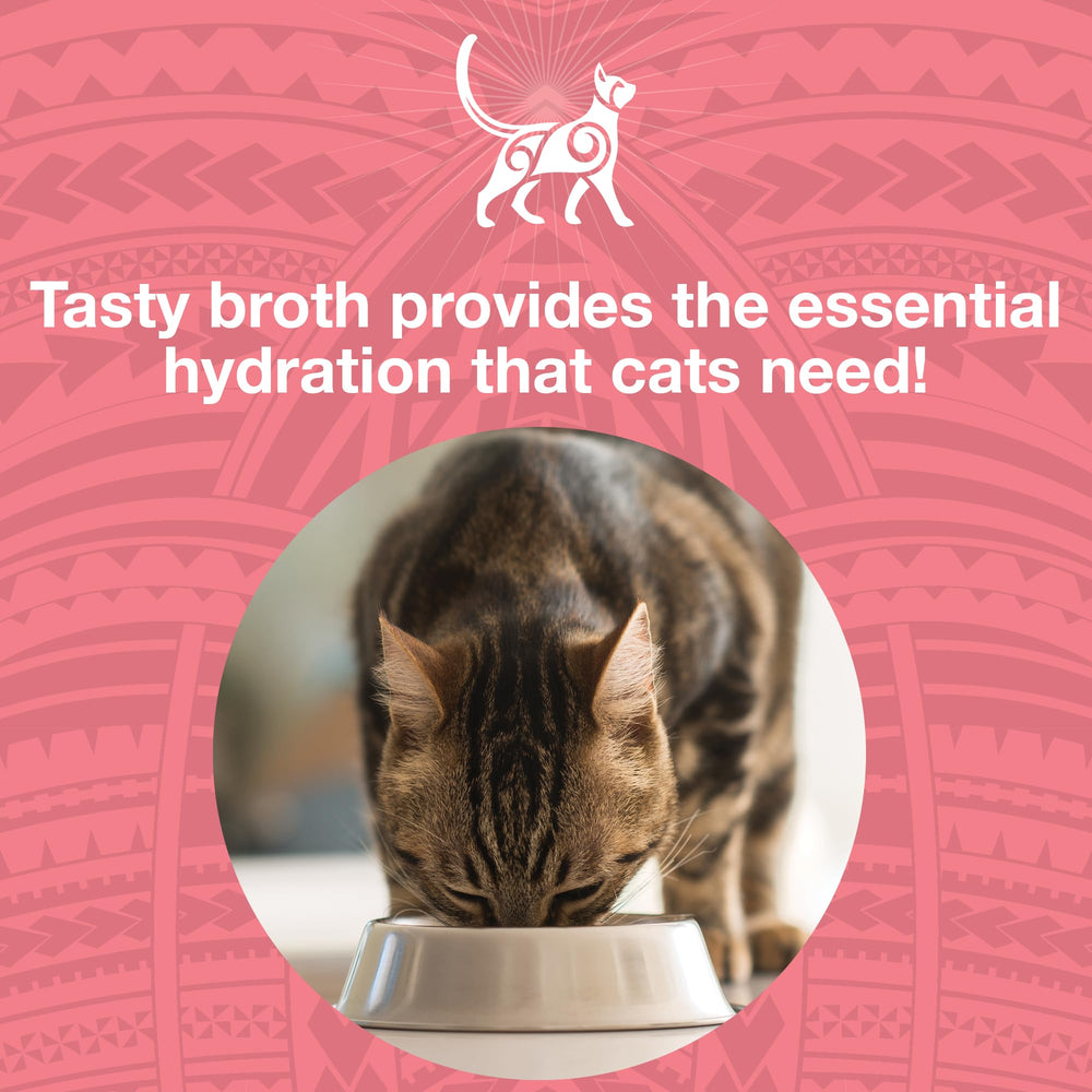 KOHA Pure Shreds 12-pack cans offer protein-rich cat meals.