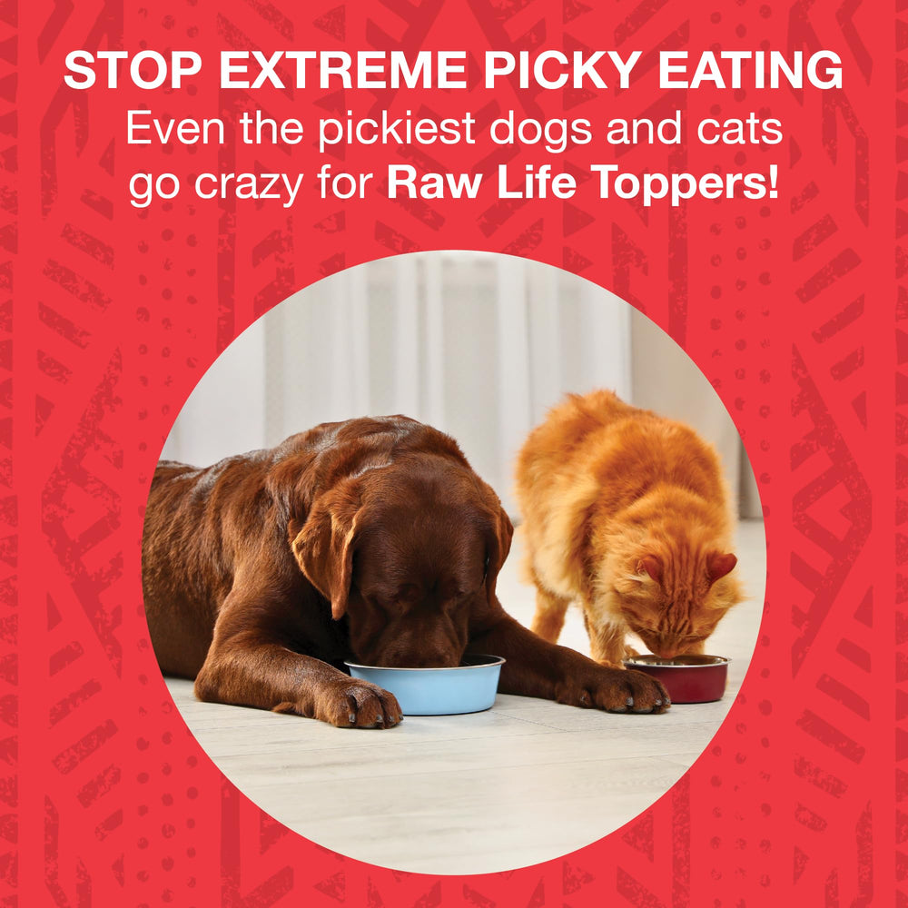 KOHA Raw Life beef topper over kibble enhances mealtime appeal.