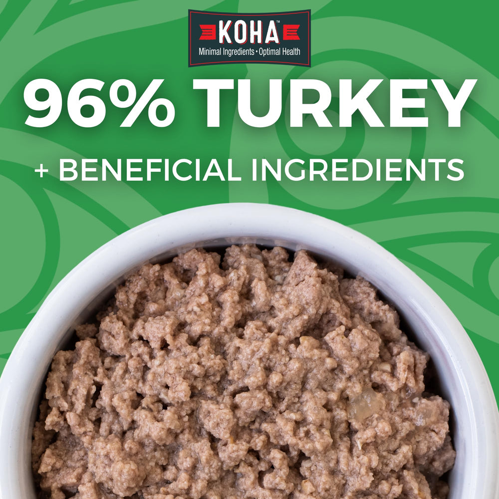 KOHA Turkey Pate cat food served in bowl showcases moisture-rich texture for easy digestion.
