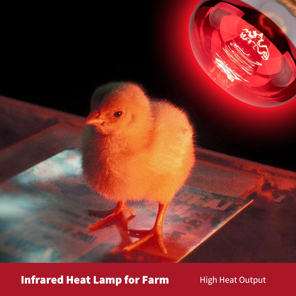 KOHEOPT bathroom sauna warmth lamp adds spa like infrared comfort