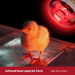 KOHEOPT bathroom sauna warmth lamp adds spa like infrared comfort