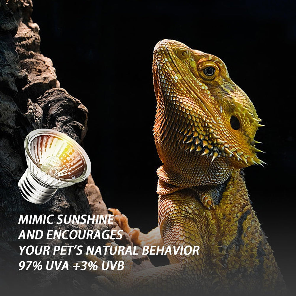KOHEOPT desert terrarium Bearded Dragon scene highlights sun-like warmth.