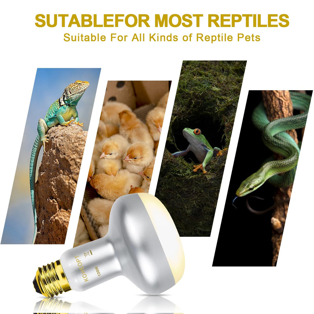 KOHEOPT reptile heat lamp 100W E26 socket-compatibility image emphasizes quick setup and wide fit.