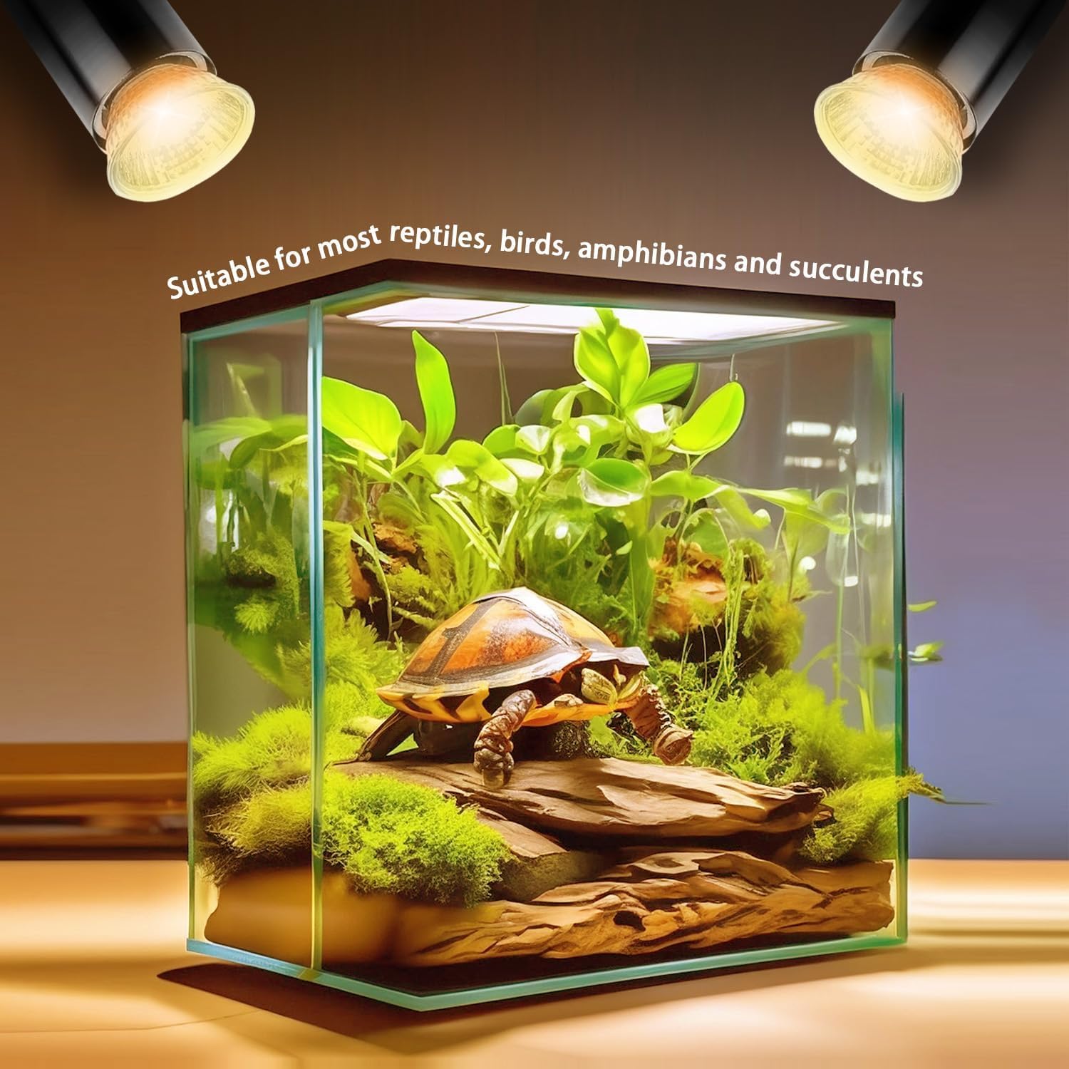 KOHEOPT CE and ROHS certified bulb with long lifespan.