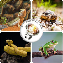 KOHEOPT tropical terrarium with snakes and geckos shows balanced illumination.