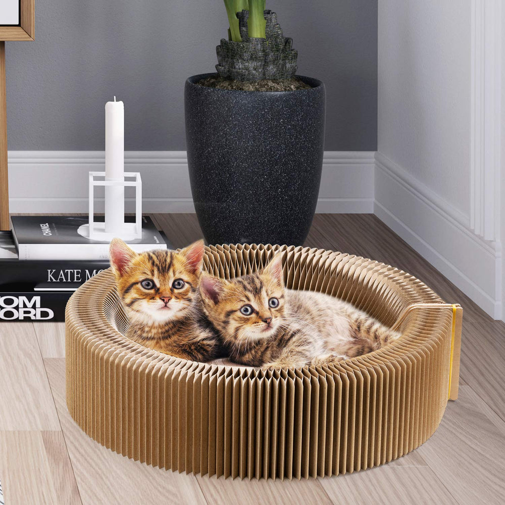 Koimsec air-flow cardboard design keeps surface cleaner
