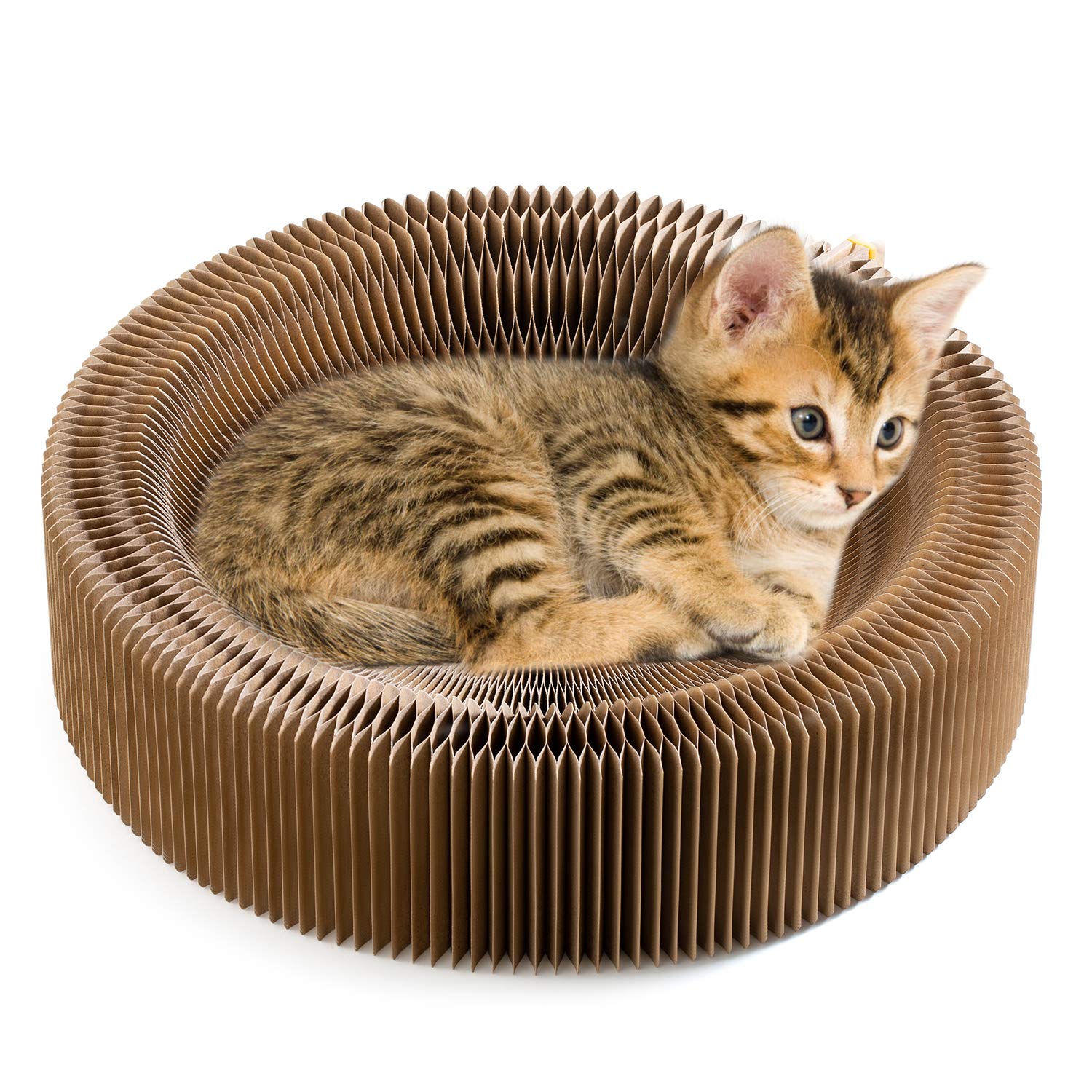 Koimsec collapsible cat scratcher lounge bed round design for lounging and scratching